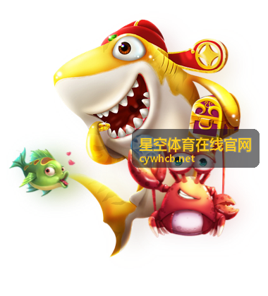 星空体育在线官网策略解析分类封面